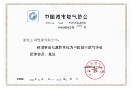 中國(guó)城市燃?xì)鈪f(xié)會(huì)團(tuán)體會(huì)員